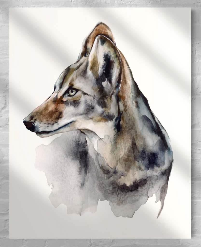 American Coyote Print